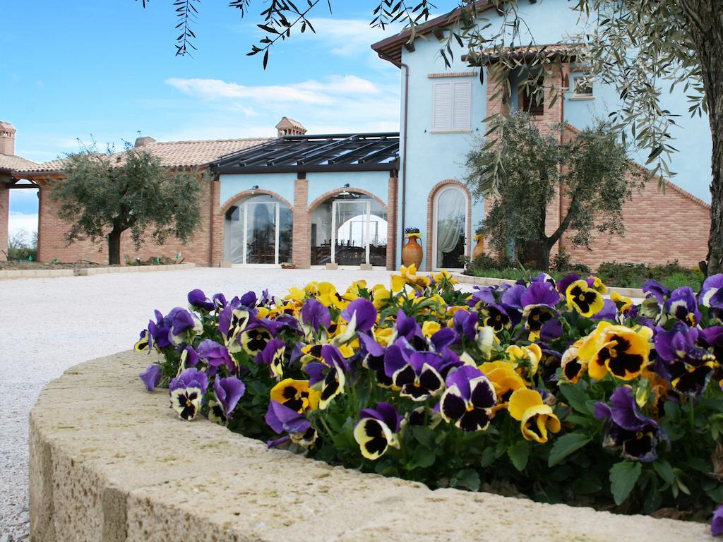 Agriturismo L'Infinito Villa Gambettola Luaran gambar